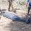இலங்கை: மூதூரில் காணாமல் போன பெண் பாழடைந்த கிணற்றுக்குள் சடலமாக மீட்பு