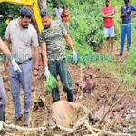 ஐக்கிய அரபு அமீரகத்தில் சட்டவிரோதமாக தங்கியிருக்கும் மக்களுக்கு பொதுமன்னிப்பு!