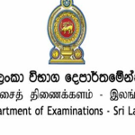 இத்தாலியில் திருடச்சென்ற இடத்தில் புத்தகம் வாசித்த திருடன்… புத்தக ஆசிரியர் எடுத்த அதிரடி முடிவு!