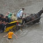 இலங்கை தேர்தல் சட்டத்தை வேண்டுமென்றே மீறிய அரசாங்கம்: தேர்தல்கள் ஆணைக்குழுவிற்கு அறிவிப்பு