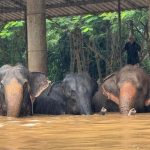 கறுப்பினத்தவரை அடித்து கொன்ற வழக்கு: காவலர் மூவர் குற்றவாளிகள் எனத் தீர்ப்பு வழங்கிய அமெரிக்க கூட்டரசு நீதிமன்றம்