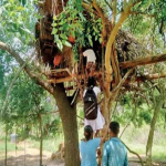 தென் கொரியாவில் அமெரிக்கப் படைகளுக்கான செலவைப் பகிர்ந்து கொள்ள வாஷிங்டன் சியோல் இடையே புதிய ஒப்பந்தம்