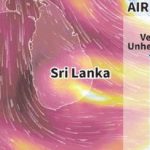 ‘தீகதந்து 1’ மரணம் – பிரபல காப்புறுதி நிறுவனத்தின் முகாமையாளர் கைது