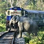 ஒஹியோ ஆளுநர் பதவிக்கு போட்டியிடும் விவேக் ராமசாமி