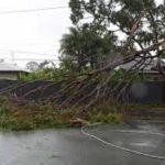 இலங்கையில் ஓடும் ரயிலில் இருந்து தவறி விழுந்த சுற்றுலா பயணி!