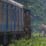 ரோஹித் அணியில் கூட இருக்க கூடாது – ‘ஷாமாவின் கருத்துக்கு ஆதரவு