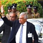 உலகின் மிக பெரிய நாயும் சிறிய நாயும் சந்திப்பு!
