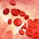 வவுனியா ஓமந்தை பகுதியில் கோர விபத்து – கணவன் பலி – மனைவி உட்பட மூவர் படுகாயம்
