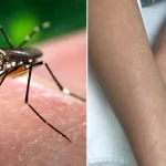 இரவில் வாழைப்பழம் சாப்பிடலாமா? உடலில் ஏற்படும் மாற்றங்கள்