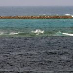 இலங்கையில் சிக்குன்குன்யா பரவும் வேகம் அதிகரிப்பு