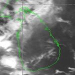 நியூஸிலாந்தில் கழுத்தின் வழியாக முட்டையிடும் அரிய வகை நத்தை கண்டுபிடிப்பு