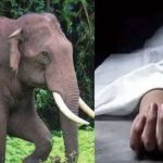 நியூயார்க்கில் ஹட்சன் ஆற்றில் கழிவுநீர் படகு வெடித்ததில் ஒருவர் பலி,இருவர் காயம்