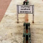உடல் எடையை அதிகரிக்க சில எளிய மருத்துவம்..!