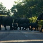ஜெர்மனியில் வேலை செய்யும் மணித்தியாலங்களில் ஏற்படவுள்ள மாற்றம்
