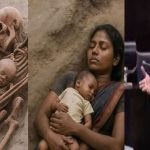 காந்தப்பார்வையில் கட்டி இழுக்கும் கீர்த்தி ஷெட்டியின் போட்டோ ஷூட்