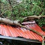 புர்ஜ் கலீஃபாவில் வீடு வைத்திருக்கும் அந்த சூப்பர் ஸ்டார்….