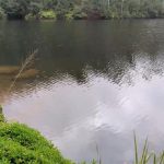 திரேட்டரில் அடிவாங்கிய தக் லைஃப்-க்கு ஓடிடியில் நடந்தது என்ன?
