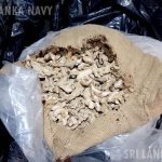 கிளாமர் போட்டோ ஷூட் நடத்திய நடிகை நந்திதா