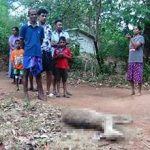 கிரேக்கத்திற்கு வருகை தரும் பிரிட்டிஷ் சுற்றுலாப் பயணிகளுக்கு எச்சரிக்கை!