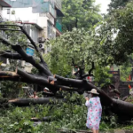புஜாரா ஓய்வு – பிசிசிஐ மீது அதிருப்தி வெளியிட்ட ரசிகர்கள்
