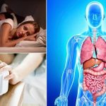 இஸ்ரேல் அரசுக்கு எதிராக போராட்டம்: 12 பேர் கைது – பணயக் கைதிகள் மீட்பு கோரிக்கை