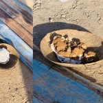 இலங்கை – பிணையில் விடுவிக்கப்பட்டாலும் வீடு செல்ல முடியாத நிலையில் ரணில்!