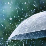பிரான்ஸிலிருந்து பிரித்தானியாவுக்கு ஆபத்தான பயணம் – படையெடுக்கும் அகதிகள்