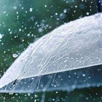 அமெரிக்காவில் டெஸ்லா கார்களை ஏற்றிச் சென்ற லொரியில் ஏற்பட்ட விபரீதம் – தீயில் கருகிய கார்கள்