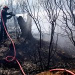 இலங்கை பாடசாலை விடுமுறை தொடர்பில் கல்வி அமைச்சின் அறிவிப்பு