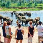 ஒரே நாளில் எட்டு பேருக்கு மரண தண்டனை நிறைவேற்றிய சவுதி அரேபியா