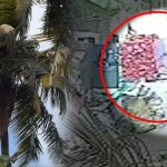 யாழ்ப்பாணத்தில் இளைஞனுக்கு நேர்ந்த துயரம்