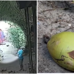 நயன்தாராவின் புதிய அவதாரம்.. டியர் ஸ்டூடன்ஸ் டீசர் வெளியானது