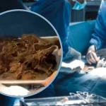 வடக்கில் ஹர்த்தால் தோல்வி- பெரும்பாலான கடைகள் திறப்பு