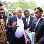 பன்றியின் உதவியுடன் உயிர் பெற்ற நபர் – ஒன்பது நாட்கள் வெற்றிகரமாக இயங்கும் நுரையீரல்