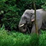 இலங்கையின் சீதா அம்மன் கோவிலில் புதிய தியான மையத்திற்கு இந்திய பக்தர்கள் நிதியுதவி