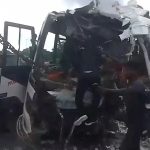 அதிக நாய்களைக் கொண்ட முதல் 10 நாடுகளின் தரவரிசை