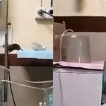 சியோலில் பீட்சா உணவகத்தில் நடந்த கத்திக்குத்து தாக்குதலில் மூன்று பேர் பலி