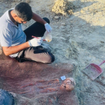 ஆஸ்திரேலியாவில் விற்பனைக்கு வரும் வீடுகளின் எண்ணிக்கை வீழ்ச்சியில் – விலைகள் அதிகரிக்கும் சாத்தியம்!
