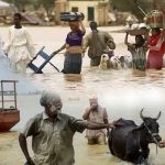 ஆஸ்திரேலியாவில் புலம்பெயர்ந்தோருக்கு எதிரான மனநிலை – அரசாங்கம் மீது விழுந்த குற்றச்சாட்டு!