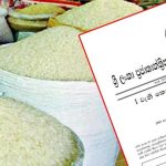 ஐரோப்பாவை அச்சுறுத்தும் போர் அபாயம் – ஜெர்மனி மக்களுக்கு விடுக்கப்பட்டுள்ள முன்னெச்சரிக்கை