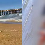 யாழ் பல்கலை வளாகத்திலிருத்து மீட்கப்பட்ட இரு மெகசின்கள்