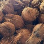 இலங்கையில் புதிய எதிர்க்கட்சி கூட்டணி உதயம்