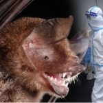 தவெக தலைமை அலுவலகத்திற்கு வெடிகுண்டு மிரட்டல்!