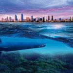 உக்ரைனில் நீல நிறமாக மாறிய நாய்கள் ; ஆச்சரியத்தில் விலங்கு பராமரிப்பு குழு