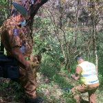 தென்கொரியாவுடன் வர்த்தக ஒப்பந்தத்தை எட்டியுள்ள அமெரிக்கா