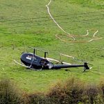 சண்டிகரில் 6 ஆக்ரோஷமான நாய் இனங்களுக்கு தடை விதிப்பு