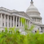 ஆஸ்திரேலியாவில் இளைஞர்களால் நெருக்கடி! பல்பொருள் அங்காடிகளில் திருட்டு அதிகரிப்பு