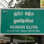 வடகிழக்கு பிரேசிலில் பேருந்து விபத்துக்குள்ளானதில் 15 பேர் உயிரிழப்பு
