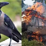 தென் கொரியாவில் காதலியை கொலை செய்து குளிர்சாதனப் பெட்டியில் உடலை வைத்த காதலன்