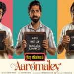 வருடாந்திர வருவாய் இலக்கை அடுத்த 03 நாட்களில் அடையும் பாதையில் இலங்கை சுங்கத்துறை!